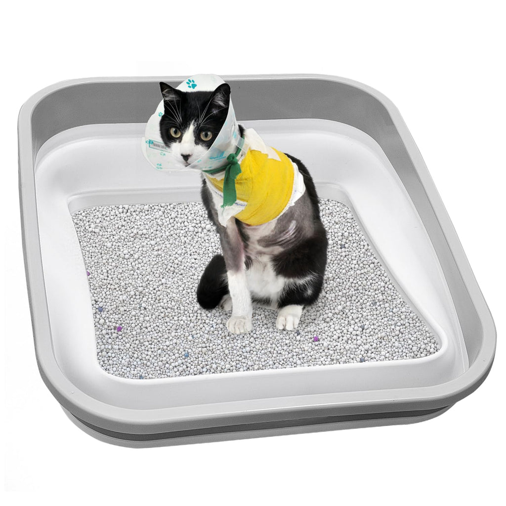 Collapsible Open Cat Litter Box D810