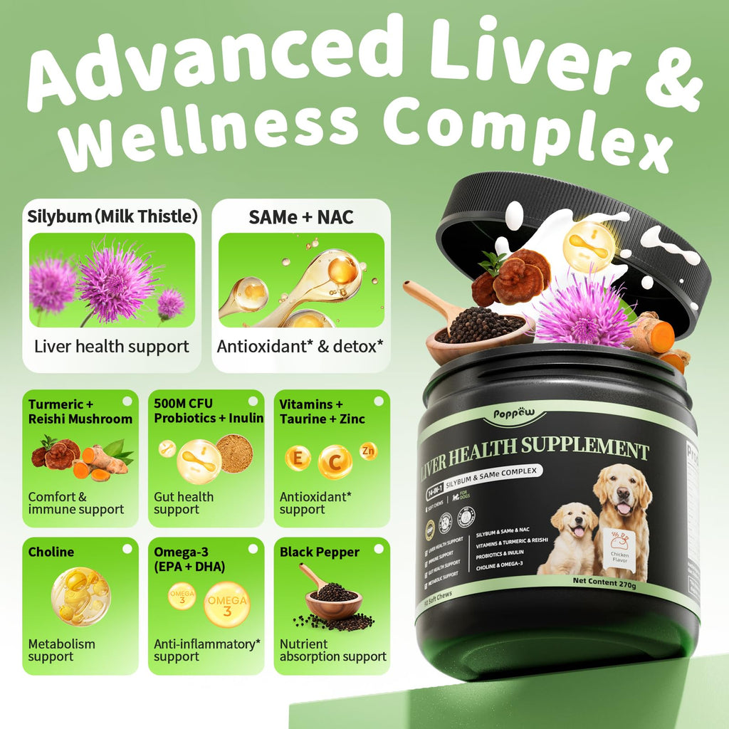 Dog Liver Support Chews with Milk Thistle A747