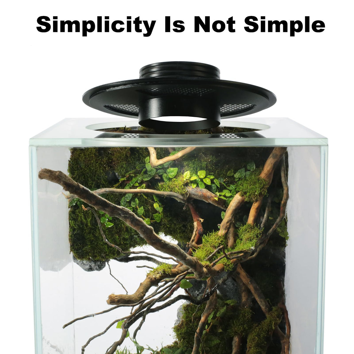 Glass Plant Terrarium with Grow Light V55131