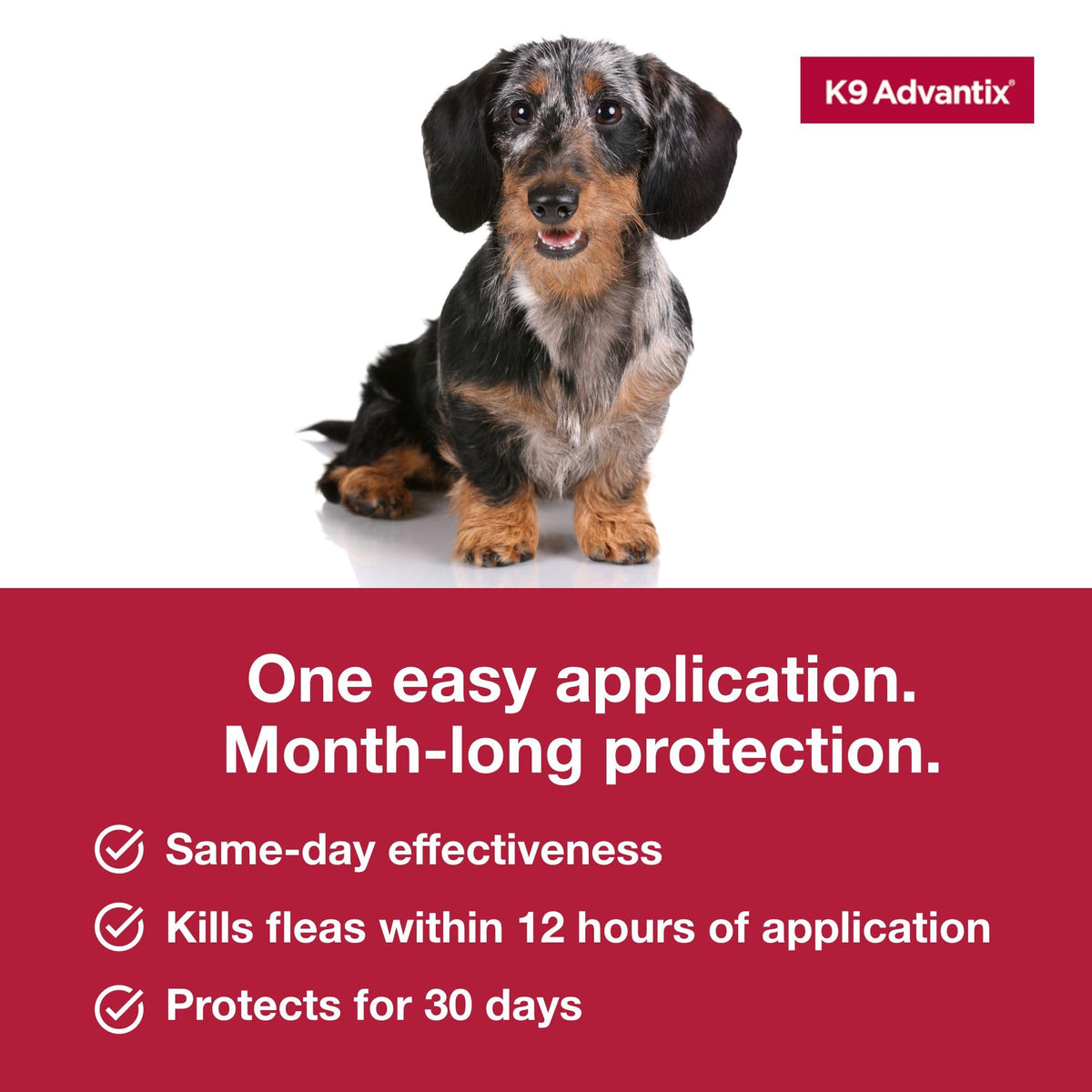 Flea Tick Mosquito Prevention for Dogs 4-10 lbs T992
