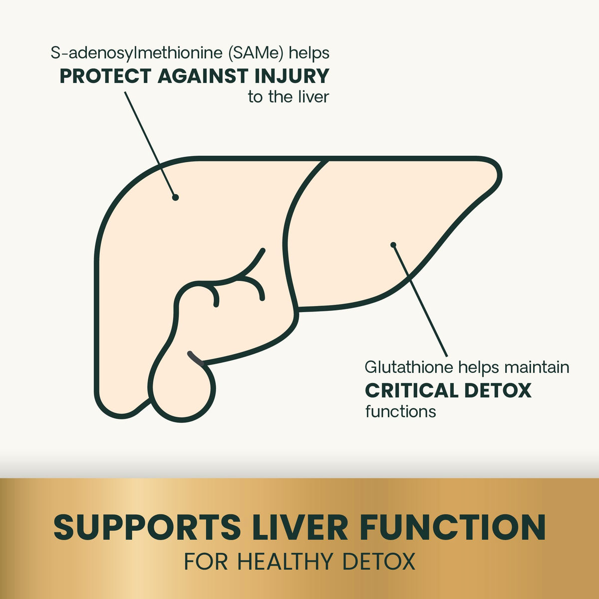 Liver Health Tablets for Dogs 30 Count V368543