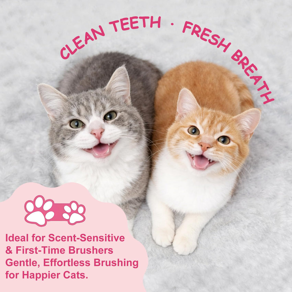 Cat Toothbrush and Toothpaste Dental Care Kit L4203