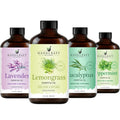Lemongrass Peppermint Eucalyptus Lavender Essential Oil Set 4 Fl. Oz J93644