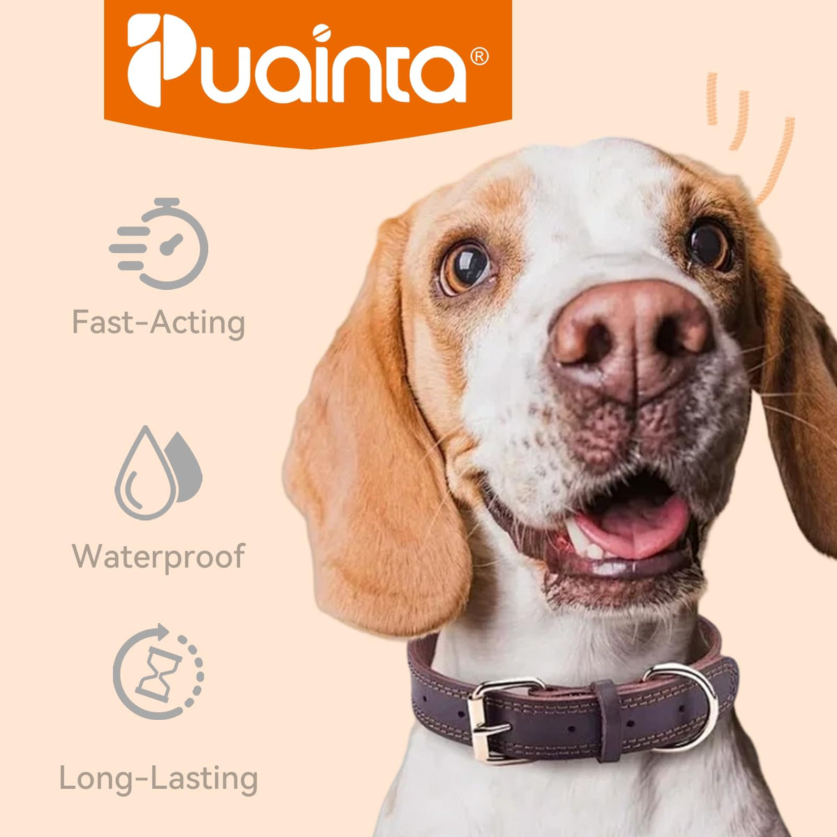 Flea and Tick Prevention for Small Dogs & Puppies, 3 Monthly Doses J851551