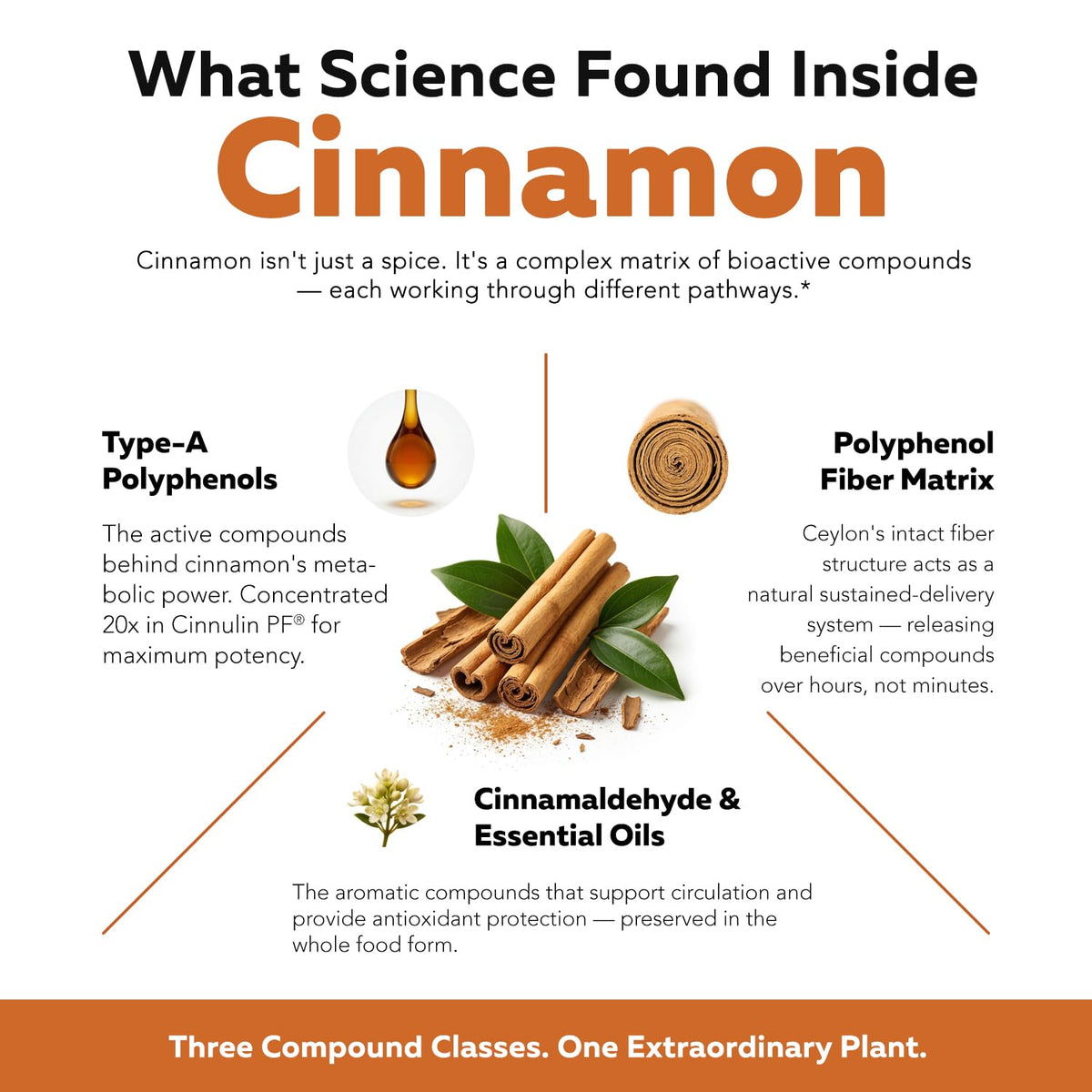 Cinnamon 1000mg Extract 60 Vegan Capsules L484052