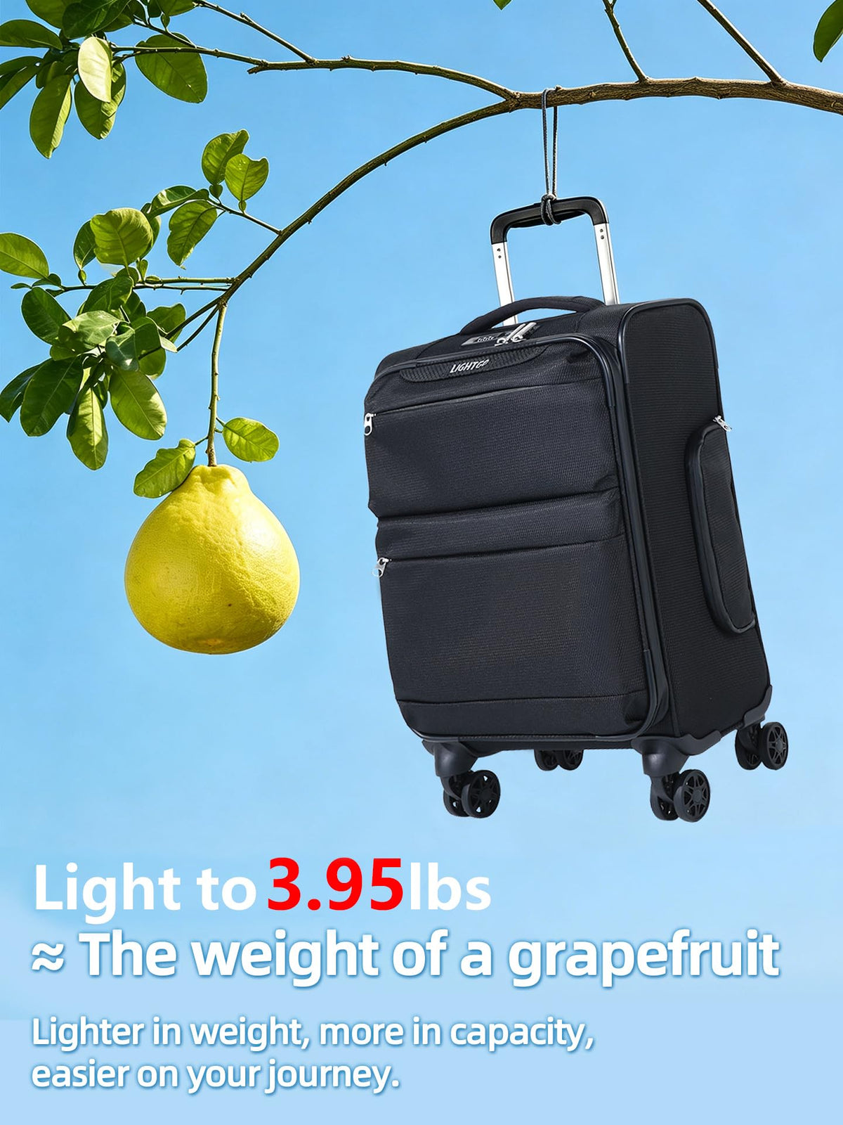 20" Carry On Softside Luggage Black Q721