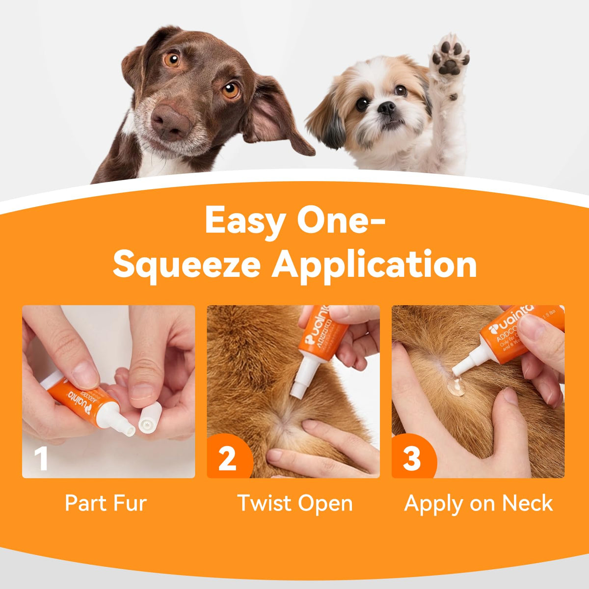 Flea and Tick Prevention for Small Dogs & Puppies, 3 Monthly Doses J851551