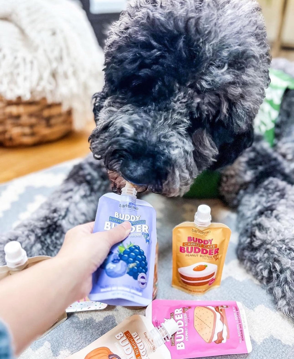 12pk Variety Pack 100% All Natural Peanut Butter for Dogs H7462
