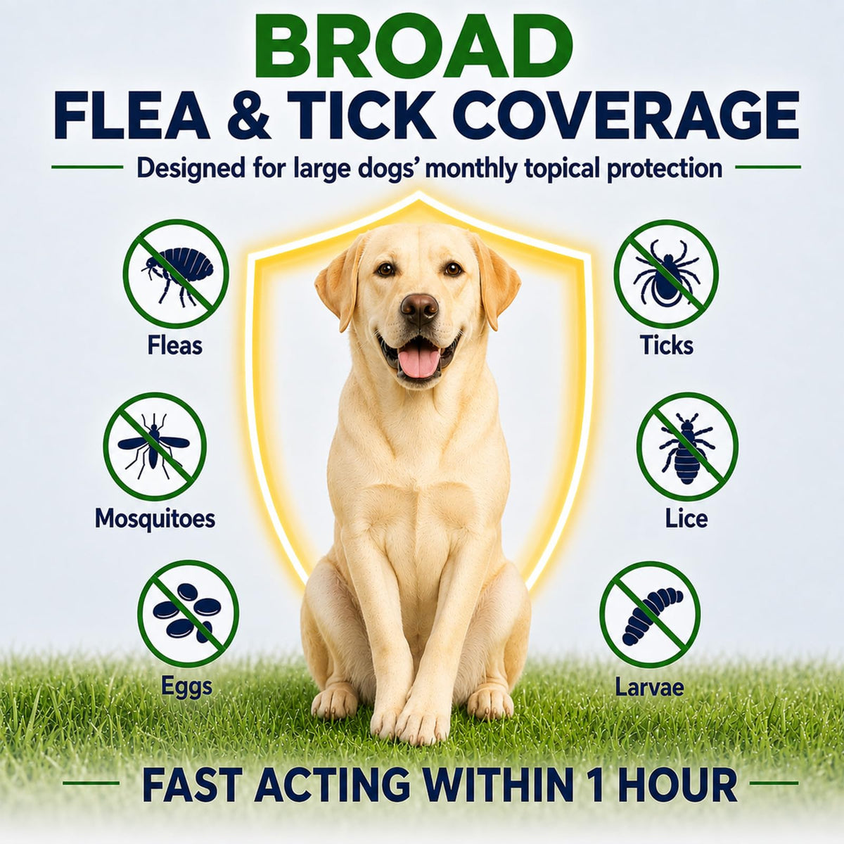 Flea and Tick Prevention for Large Dogs D50858
