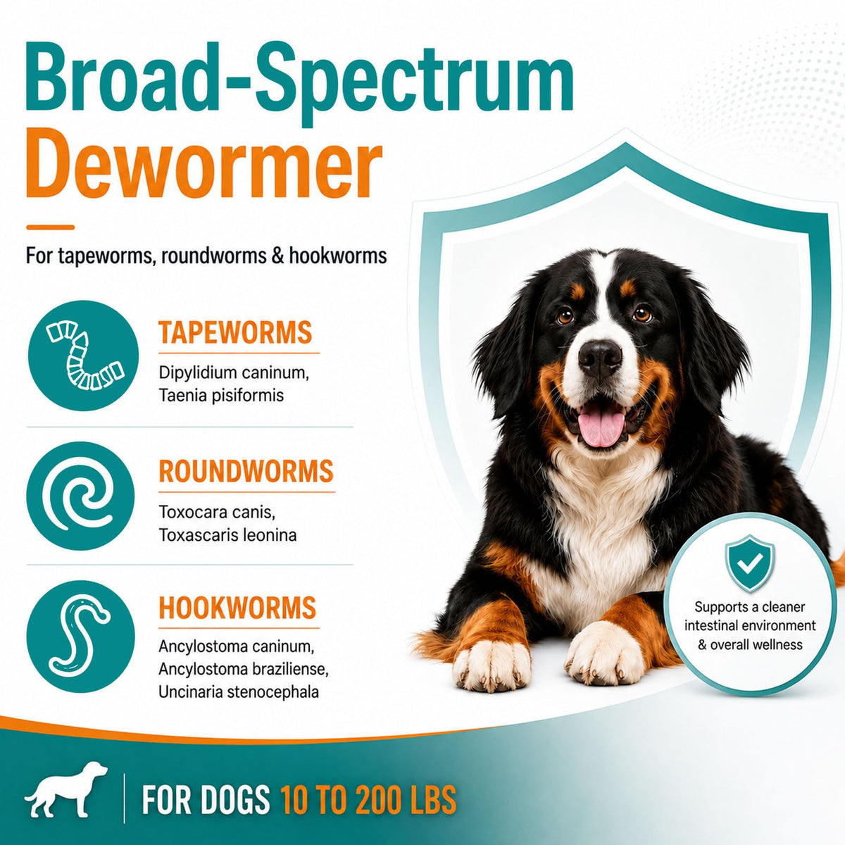 Dog Dewormer 48 Count A998295