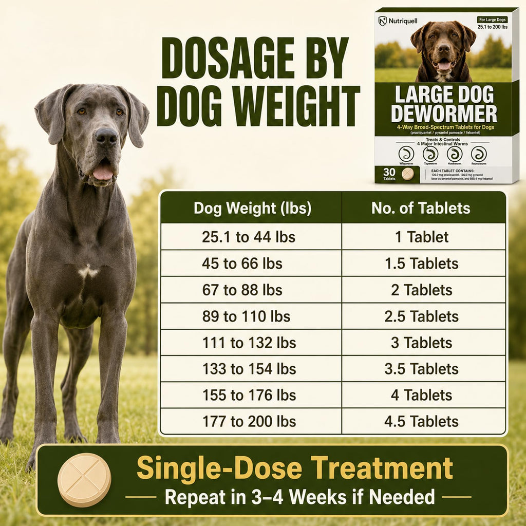 Medium and Large Dog Dewormer Tablets S63678