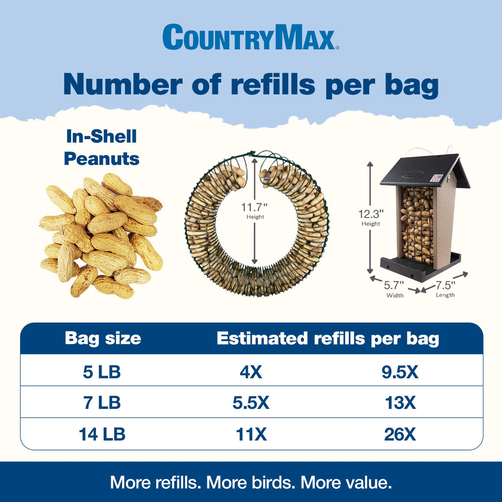 5LB In-Shell Raw Peanuts T3311