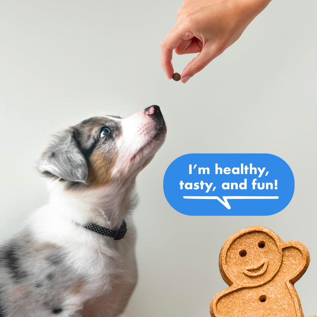 Soft & Chewy Bacon Dog Treats 10 oz N6465