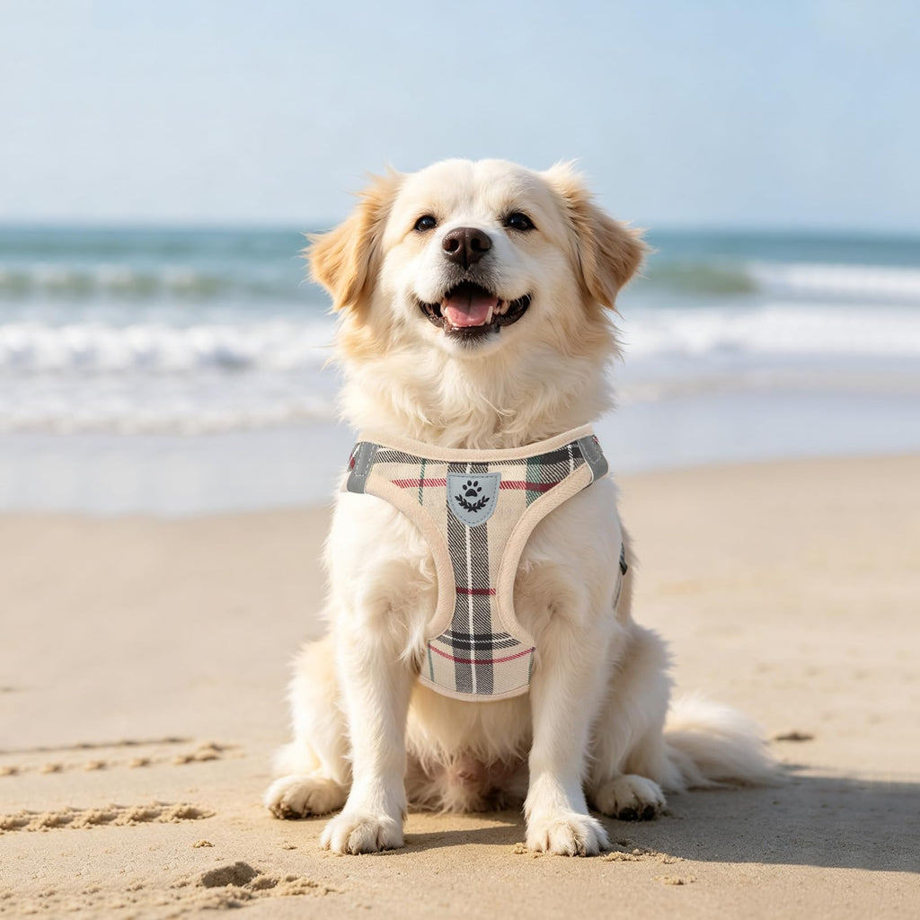 Dog Harness, Collar and Leash Set S182347