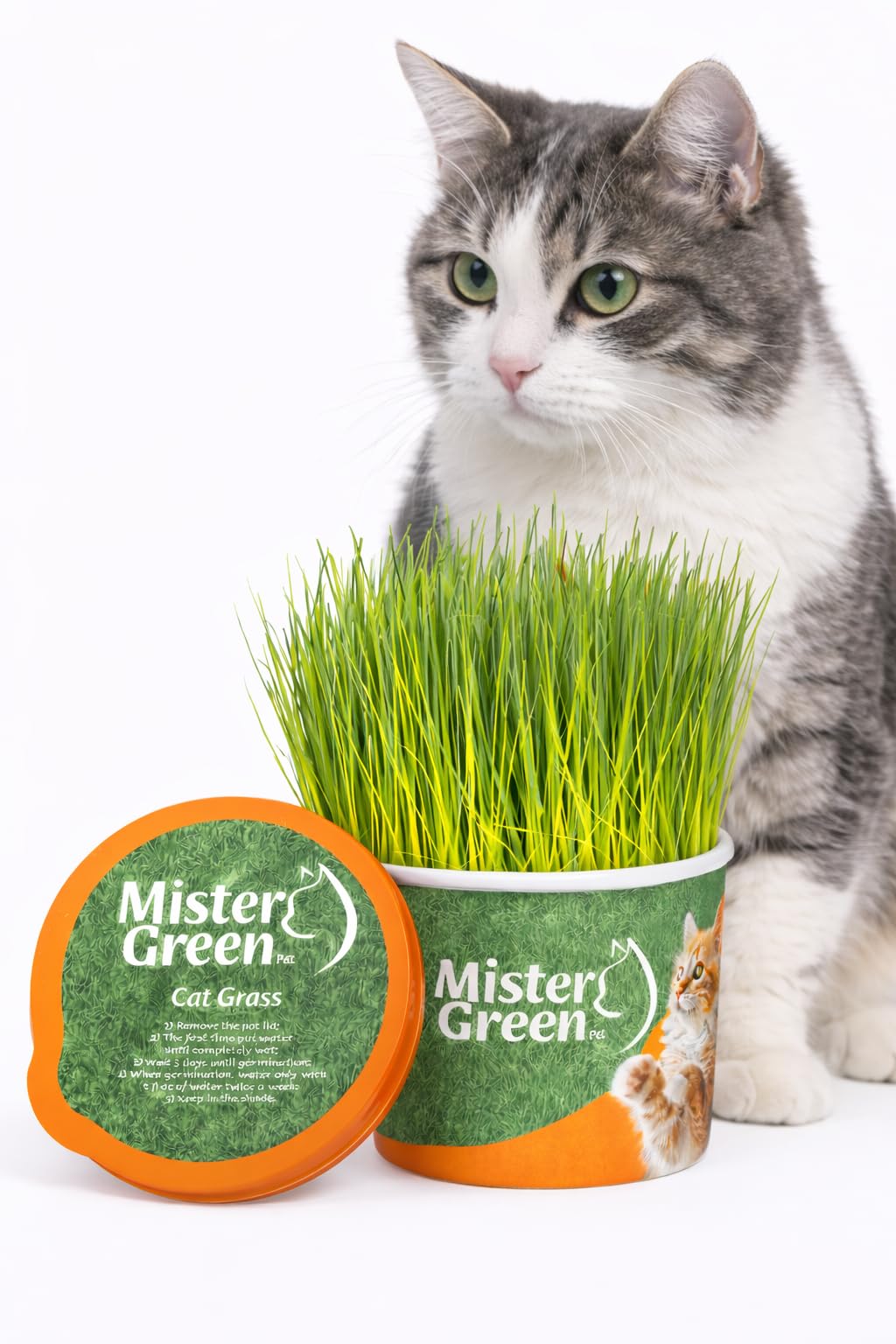 Cat Grass Grow Kit Z540