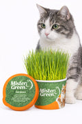 Cat Grass Grow Kit Z540
