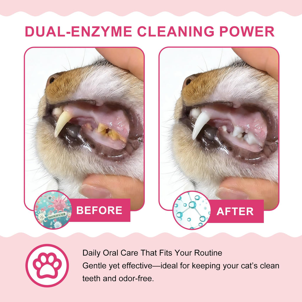 Cat Toothbrush and Toothpaste Dental Care Kit L4203