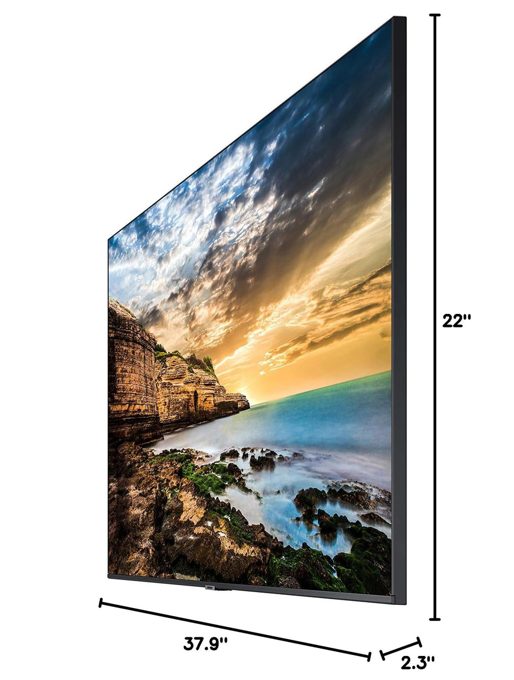 43” UHD Display with Built-in Speakers A589