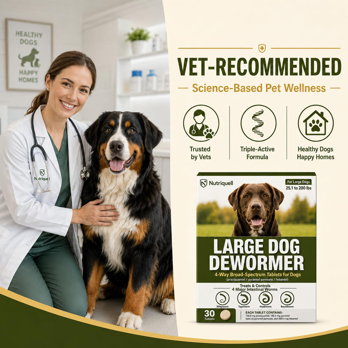 Medium and Large Dog Dewormer Tablets S63678