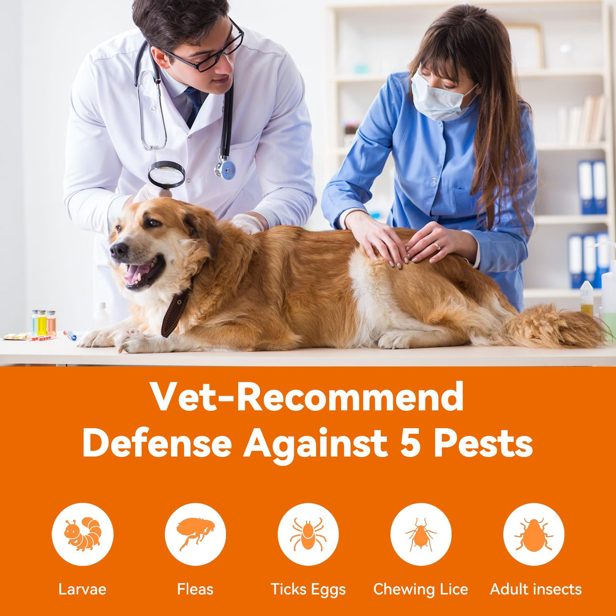 Flea and Tick Prevention for Small Dogs & Puppies, 3 Monthly Doses J851551