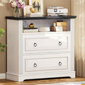 White 2 Drawer Wood File Cabinet with Storage Shelf B906108