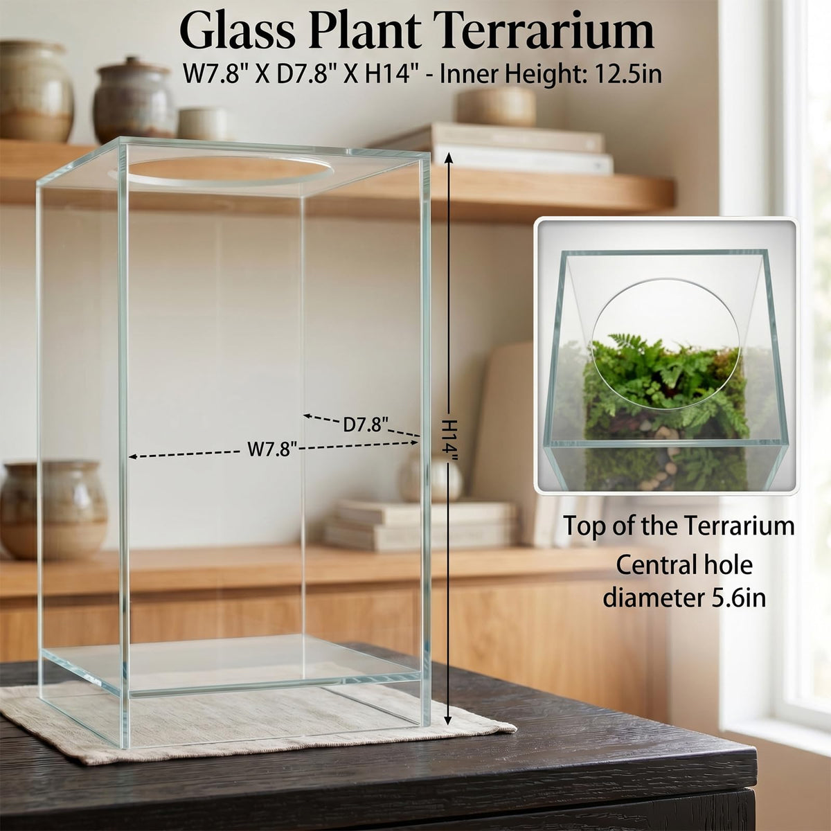 Glass Plant Terrarium with Grow Light V55131