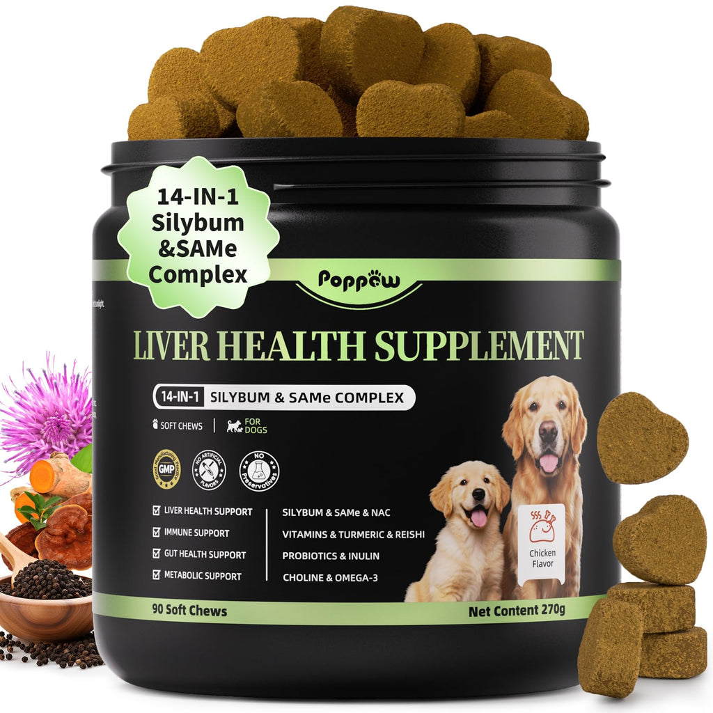 Dog Liver Support Chews with Milk Thistle A747