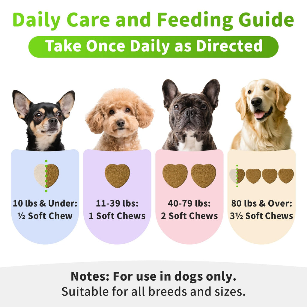 Dog Liver Support Chews with Milk Thistle A747