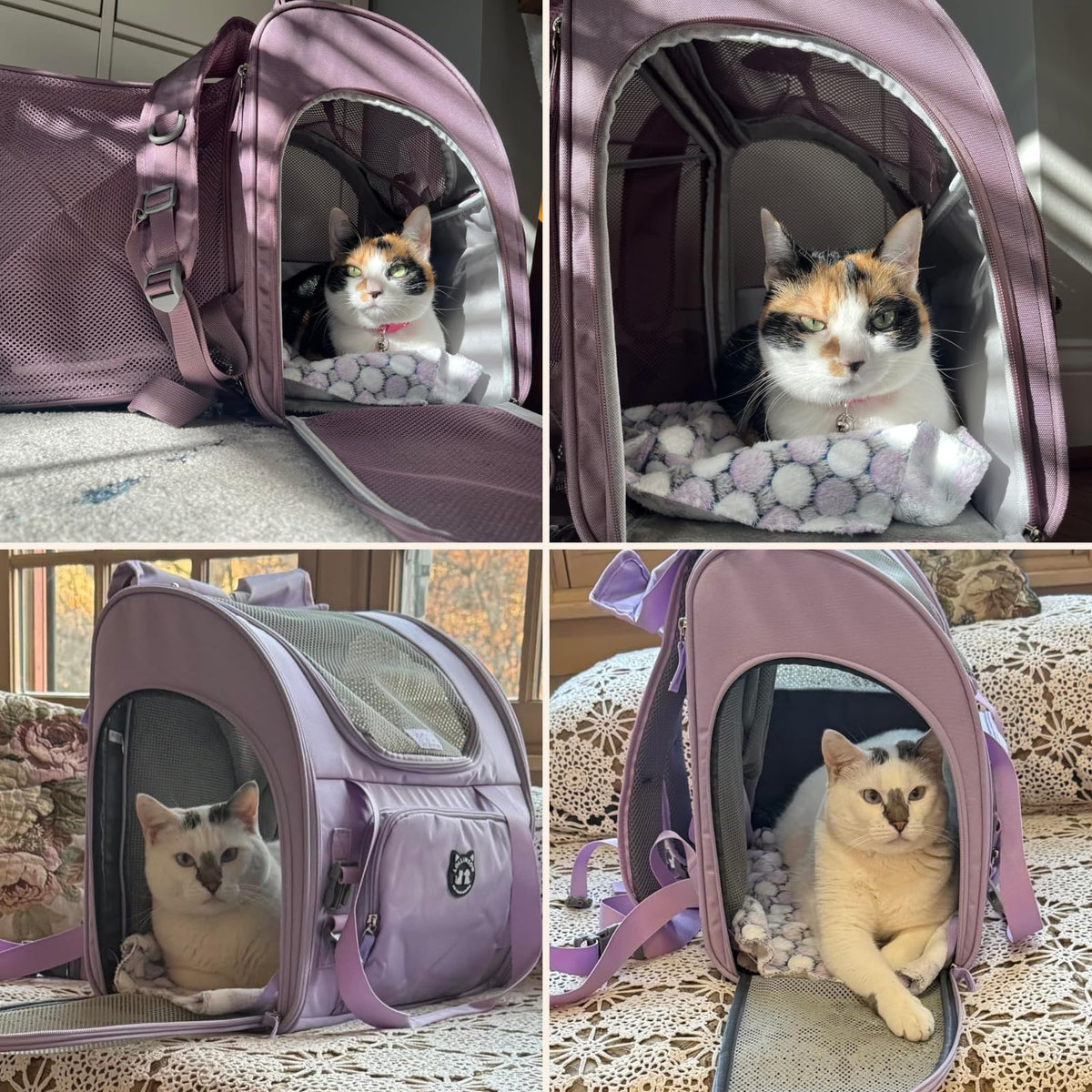 Expandable Large Cat Carrier Backpack F883237