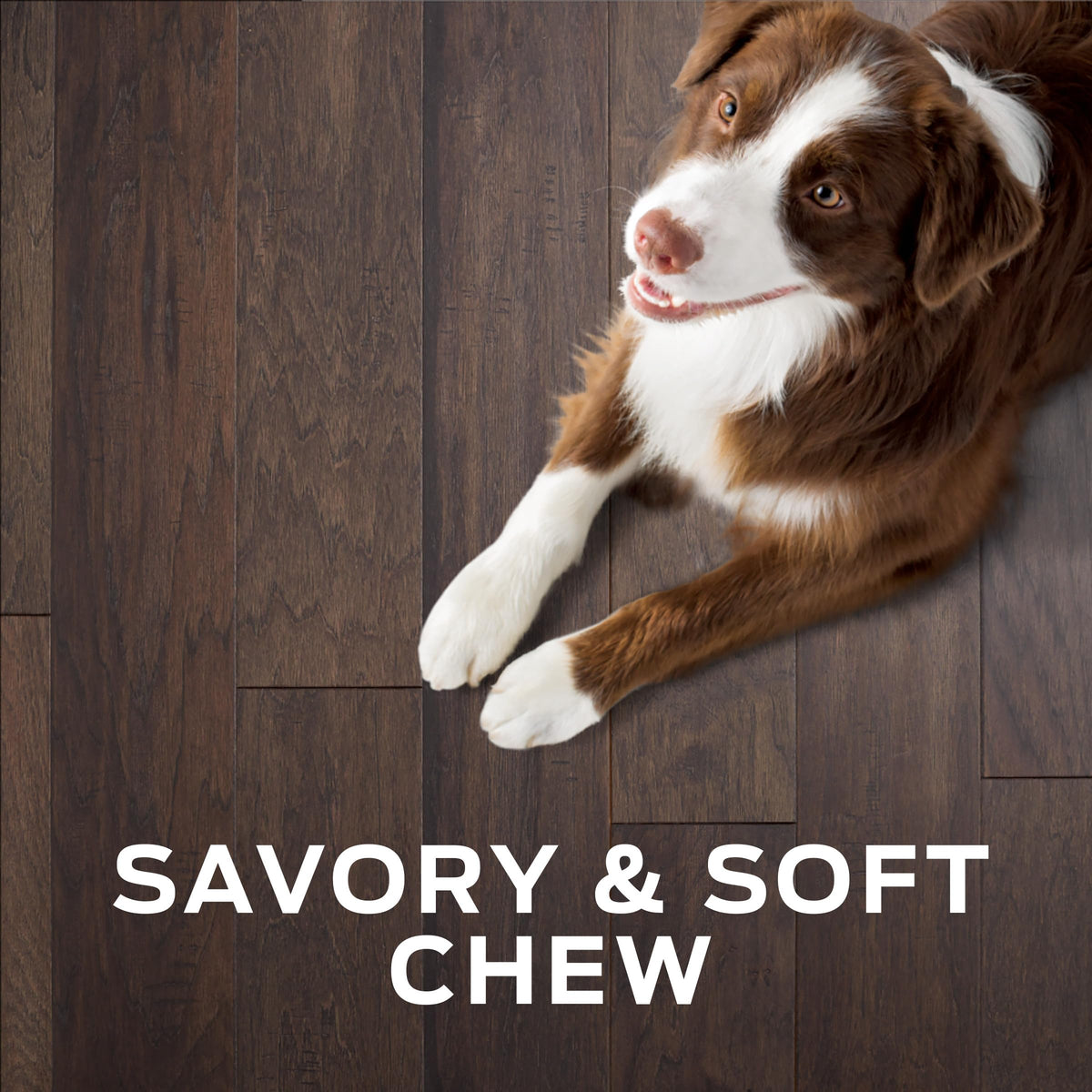 Dog Treats 16 oz G285