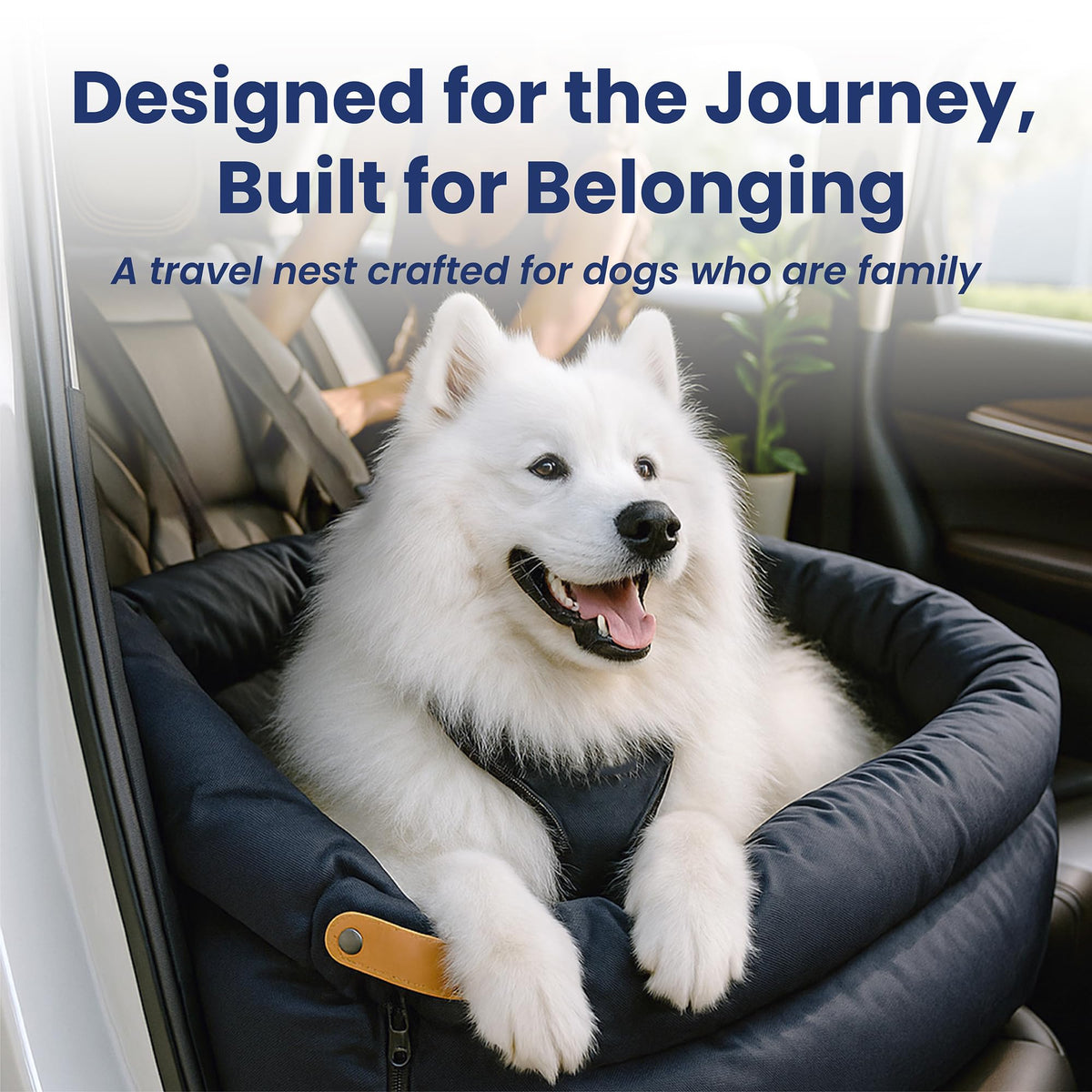 2-in-1 Pet Car Seat & Convertible Travel Dog Bed, XL, Black H250