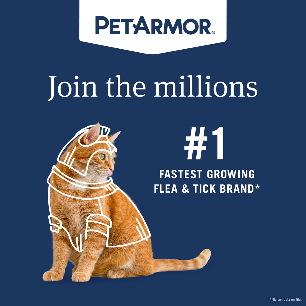 Flea & Tick Treatment & Prevention Collar for Cats R6743