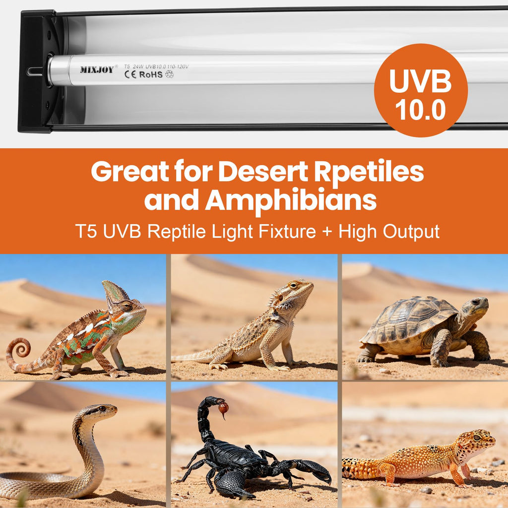 24W 10.0 UVB Reptile Light Kit Q8407