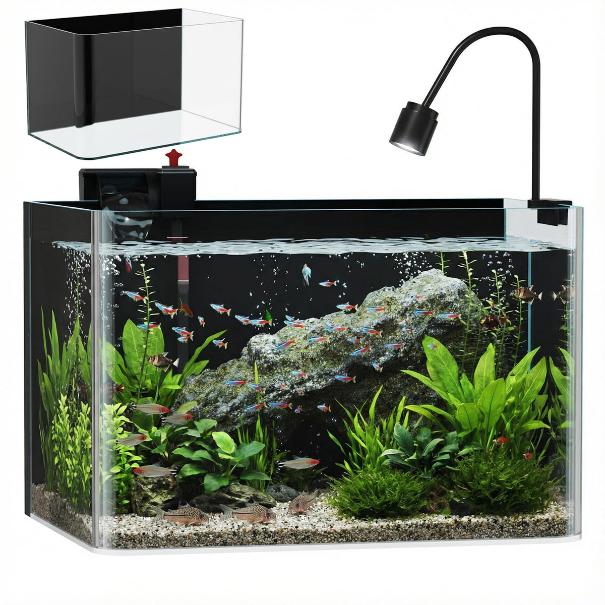 10 Gallon Black-Back Aquarium Fish Tank Q937