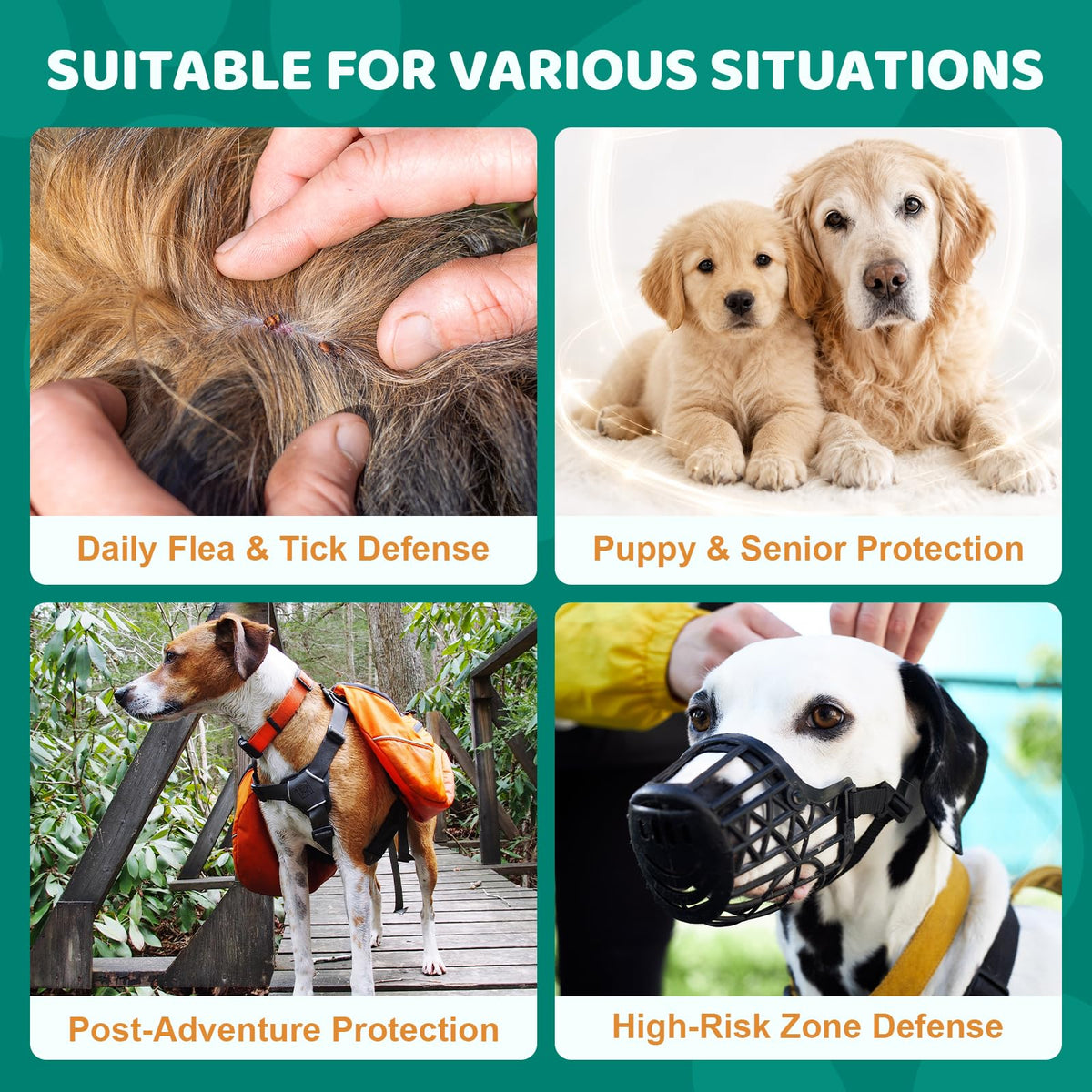 Flea and Tick Chews for Dogs Y746488