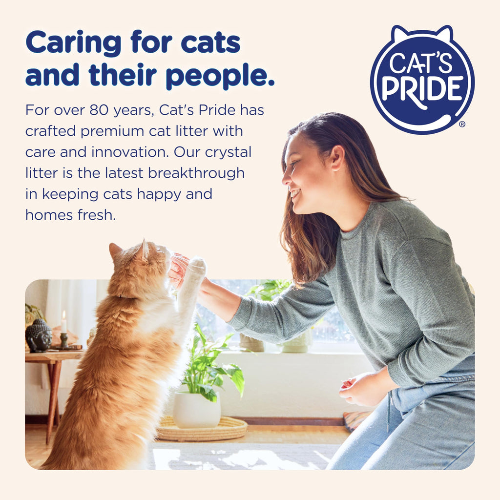 Cat Litter - 99.9% Dust Free, Low Tracking, Fragrance Free - 5 Lbs H46887