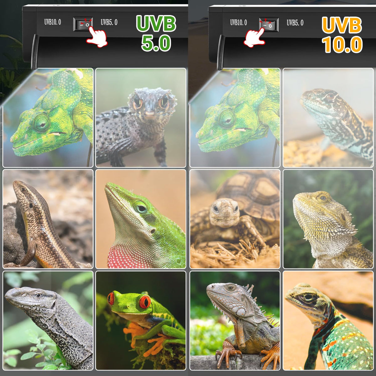 24W T5 UVB Reptile Light Combo Kit A395