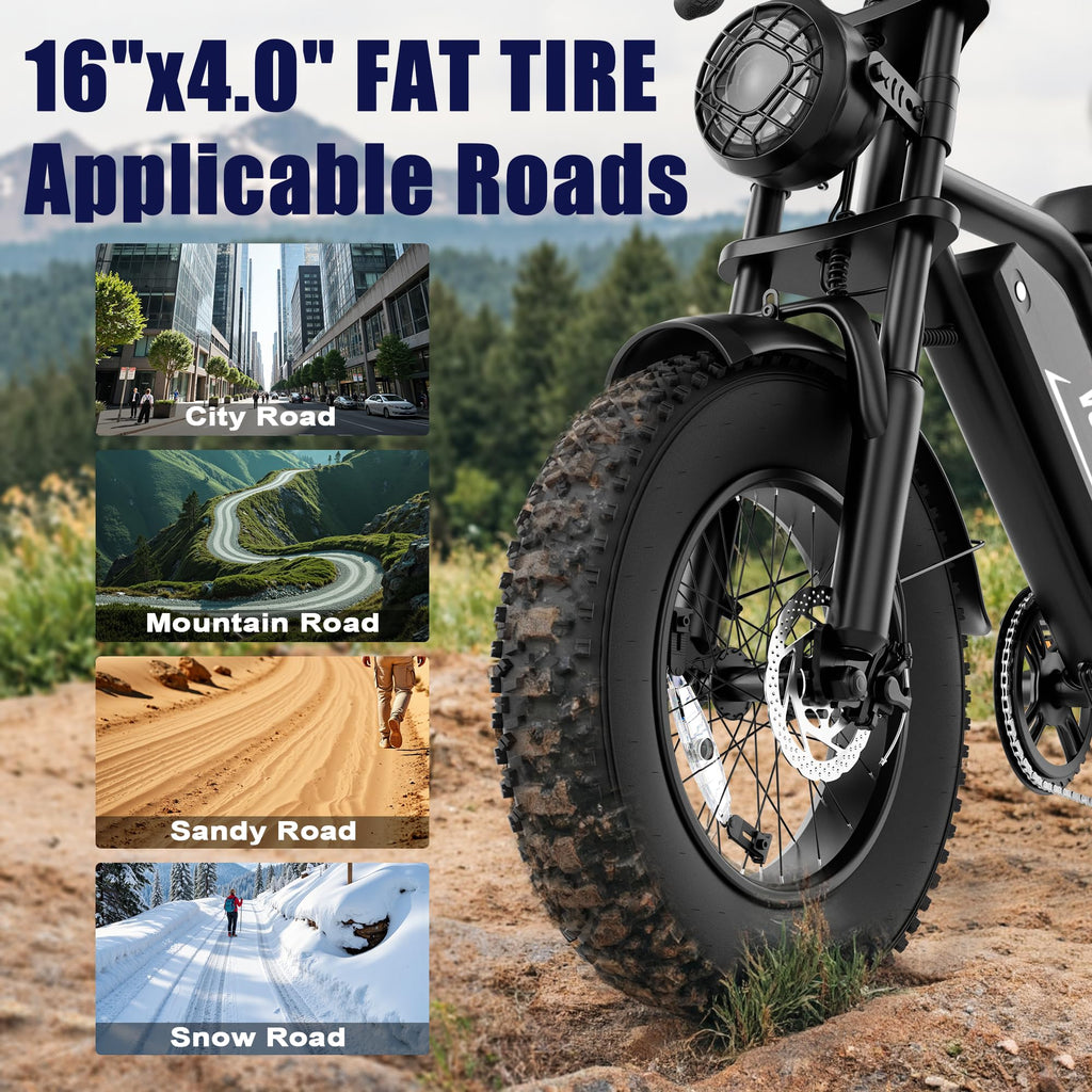 1500W Peak Motor Full Suspension Electric eBike C386