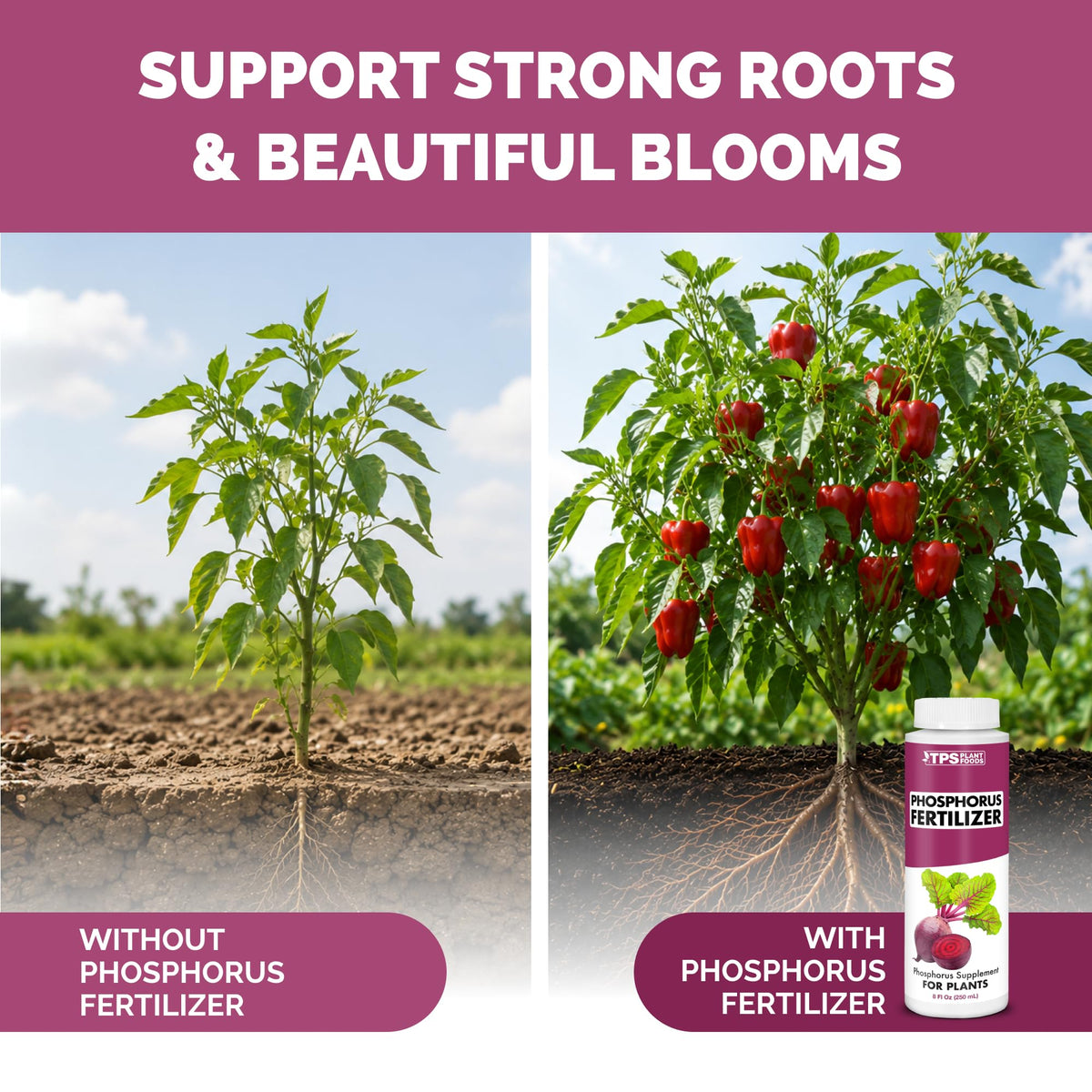 Liquid Phosphorus Fertilizer 32 oz N7904
