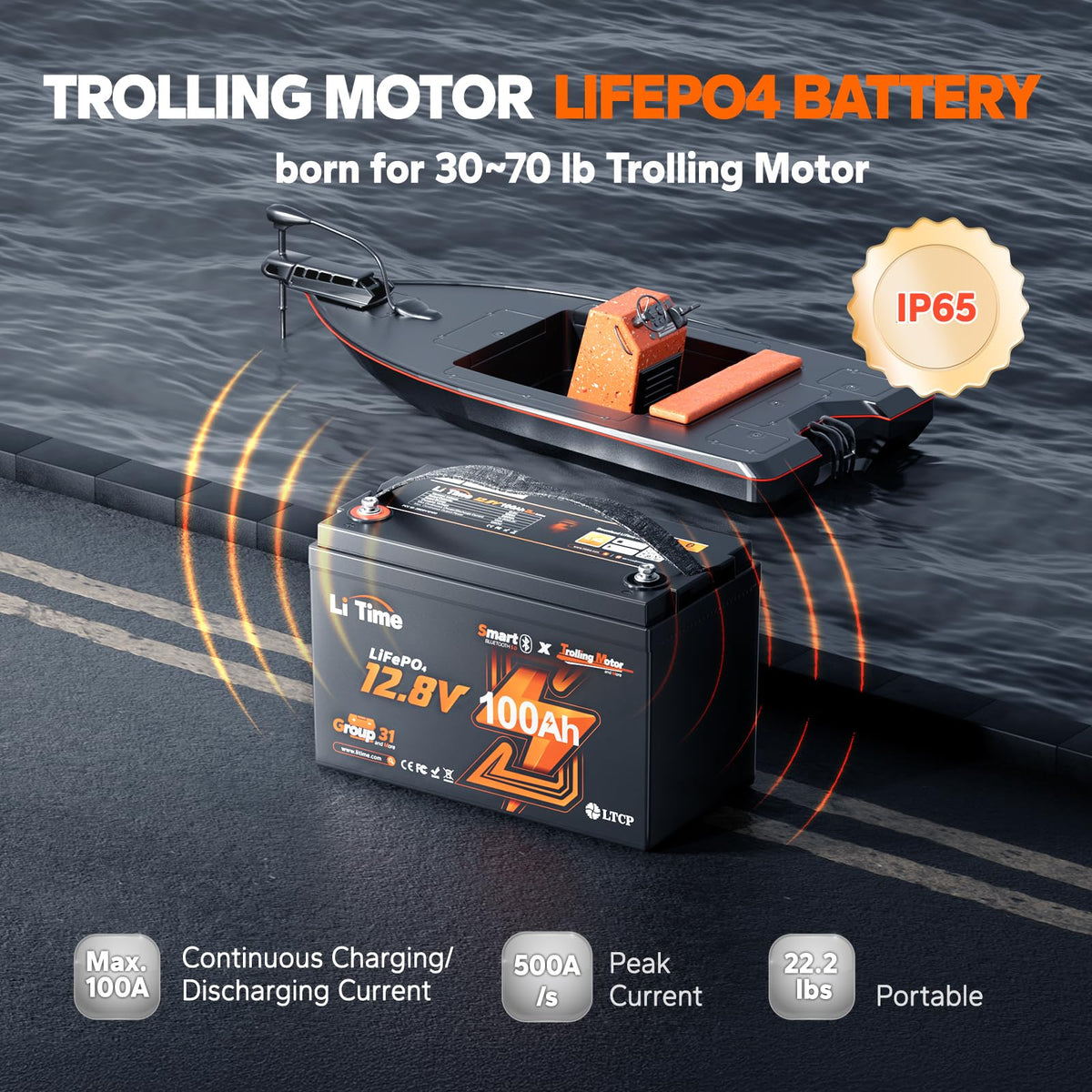 12V 100Ah LiFePO4 Battery with Charger D438