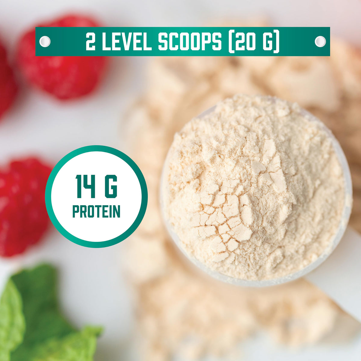 Organic Pea Protein Powder 1.5 lbs X17248