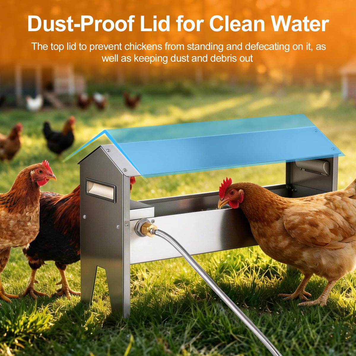 22'' Stainless Steel Automatic Chicken Waterer Q19891