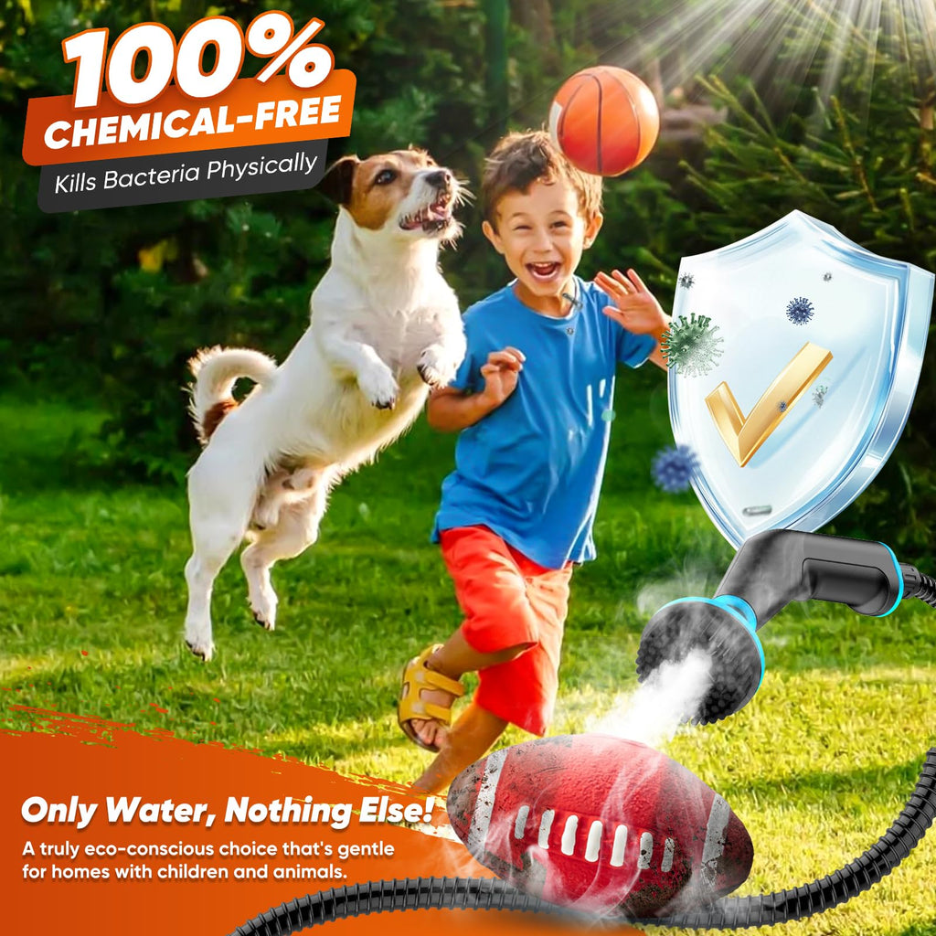 Handheld Pressurized Steam Cleaner B35853