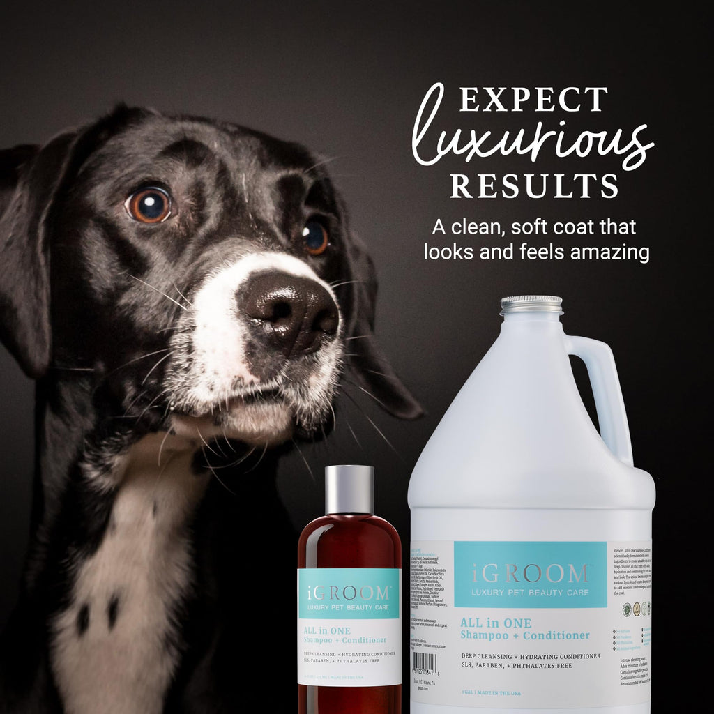 Dog Shampoo + Conditioner B68311