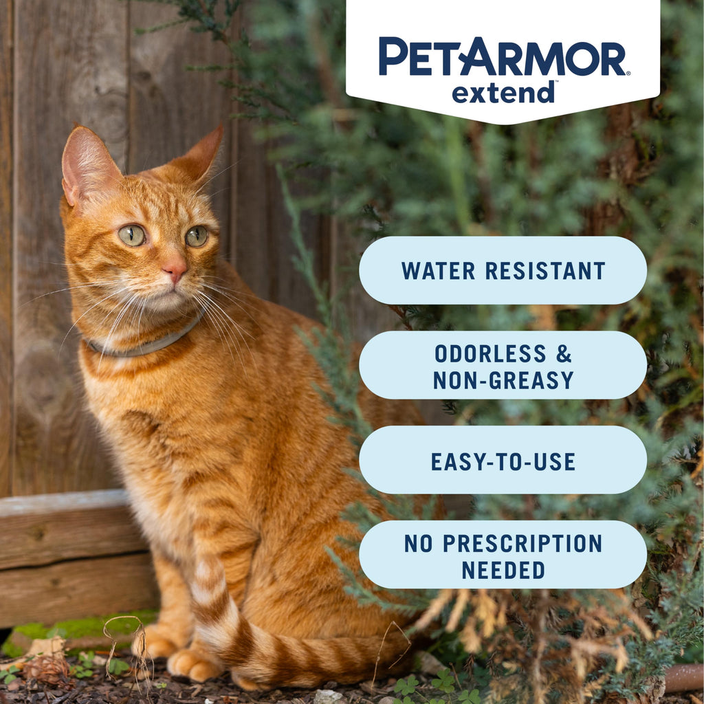 Flea & Tick Treatment & Prevention Collar for Cats R6743