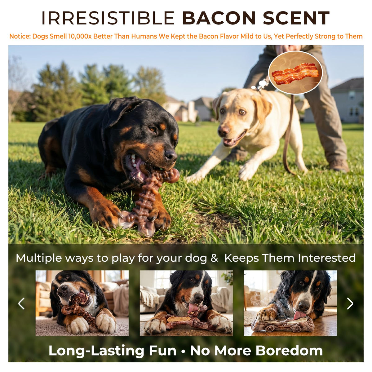 3-Pack Dog Chew Toys L9655