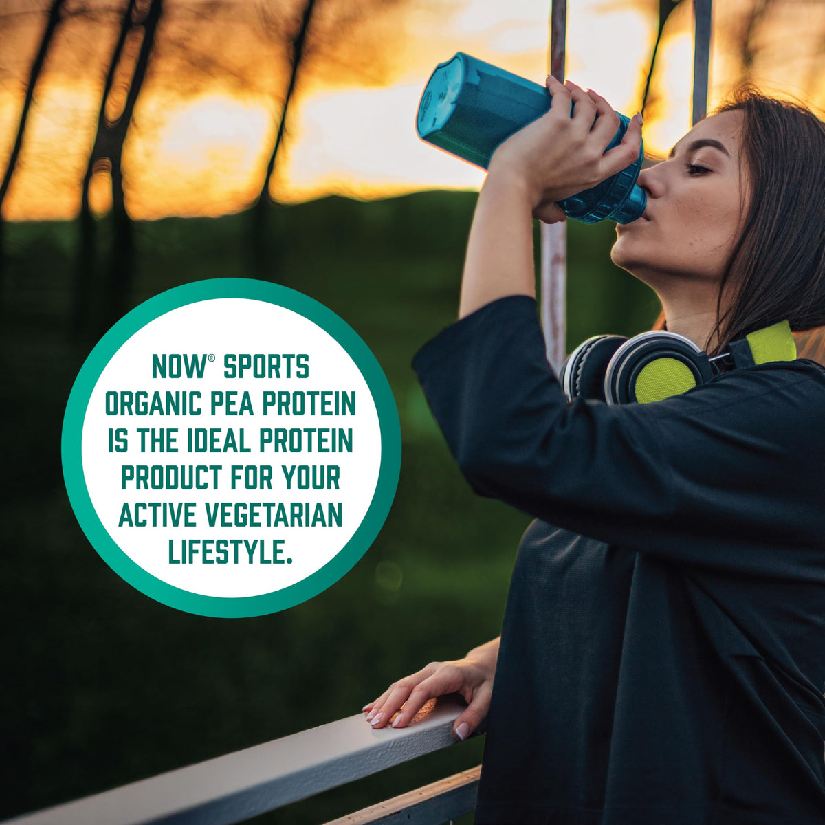 Organic Pea Protein Powder 1.5 lbs X17248