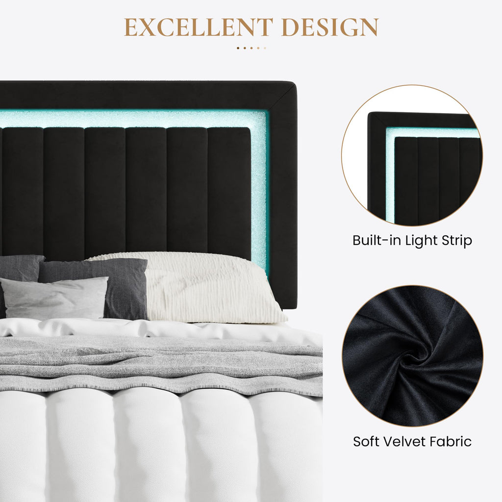 Queen Size Black Velvet Bed Frame with LED Light F66113