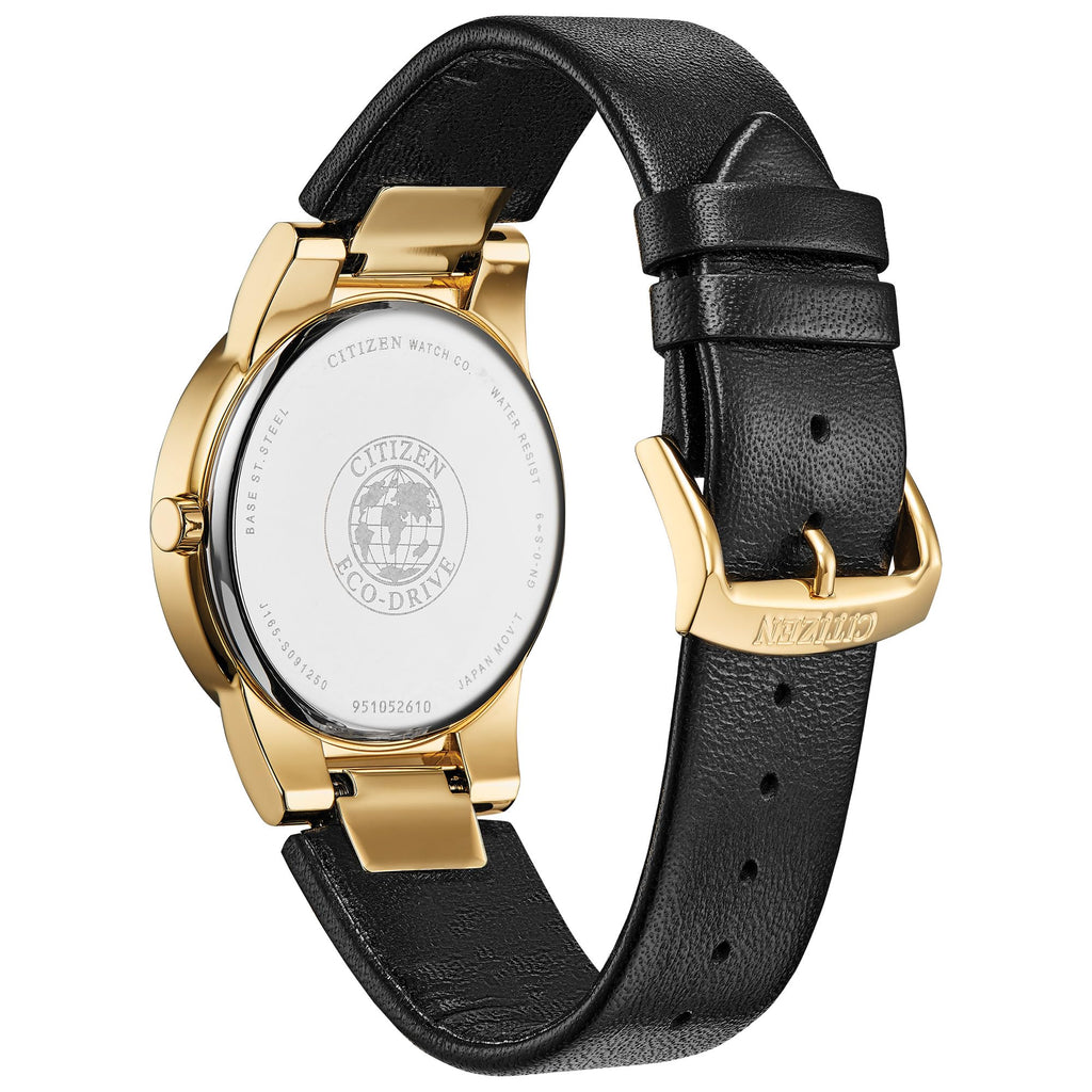 Eco-Drive Watch R996897