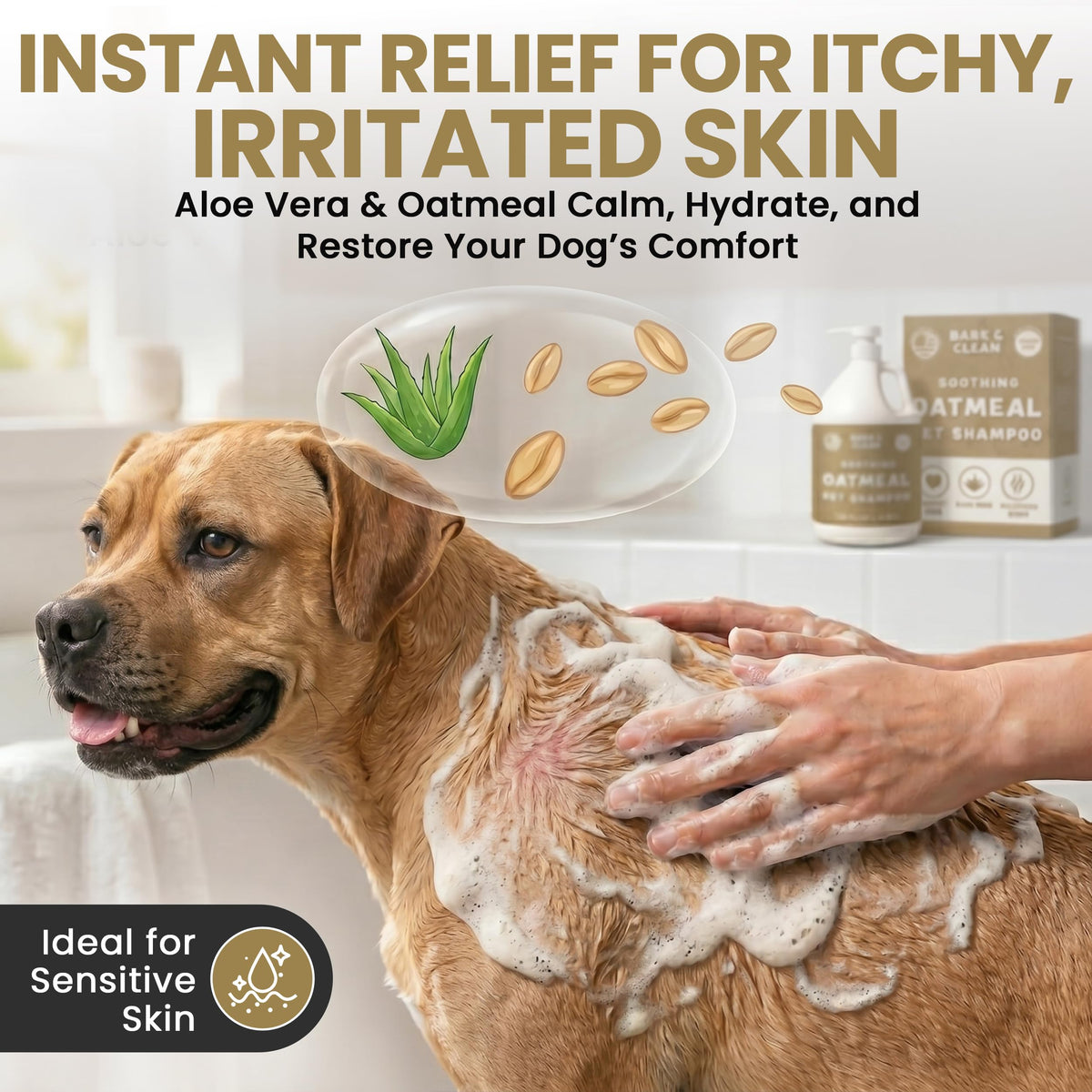 Oatmeal Dog Shampoo 1 Gallon with Pump Hypoallergenic Aloe Vera Coconut Oil I516